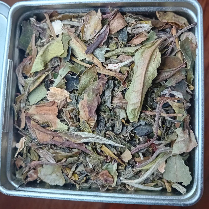 Thé vert et thé blanc