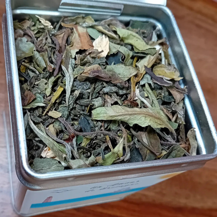 Thé vert et thé blanc