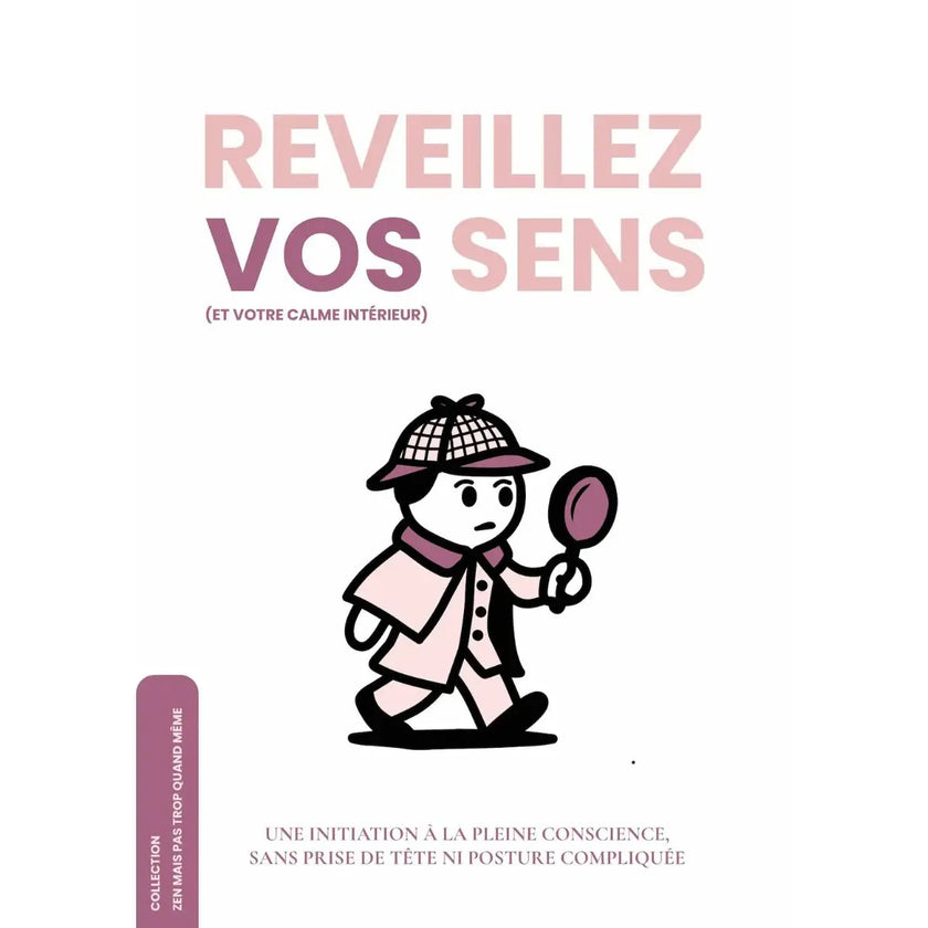 ebook pour apprendre à méditer pour les débutants les nuls méditation de pleine conscience gestion stress émotions burn out épuisement professionnel instant présent méditer au quotidien