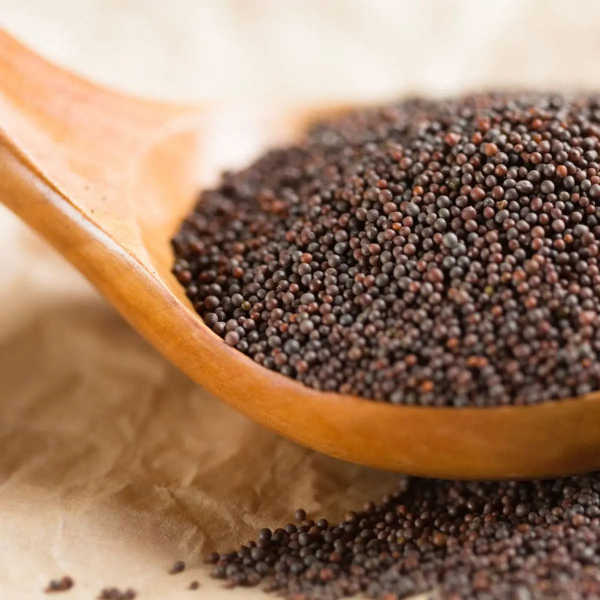 graines de moutarde bio