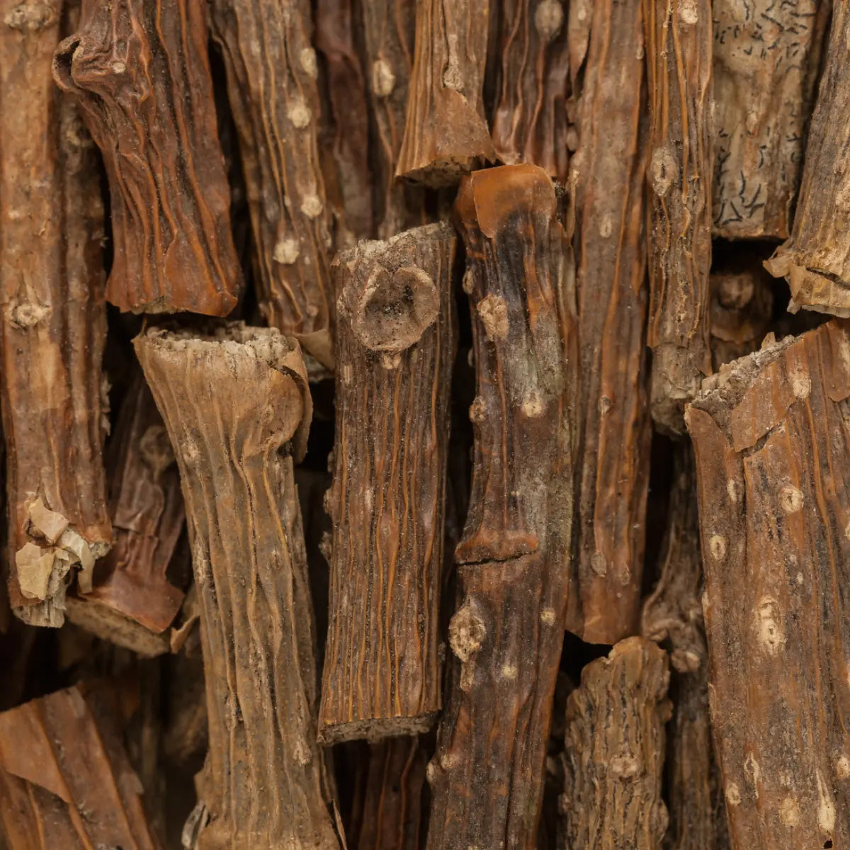 guduchi, amrit, renforce le système immunitaire et aide le système digestif, soutien le foie, aide la santé mentale, et aide la gestion du stress, renforce et stimule les défenses naturelles