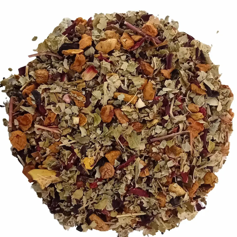 infusion fruits pomme feuilles de mûre hibiscus écorces d'orange fraise canneberge baies sureau vrac boite à thé théière bienfaits vertus propriété