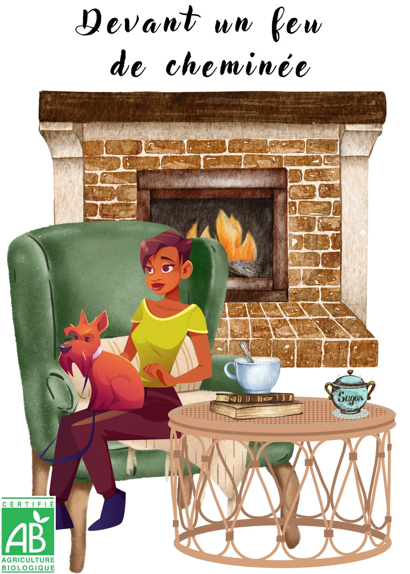 infusion fruits pomme feuilles de mûre hibiscus écorces d'orange fraise canneberge baies sureau vrac boite à thé théière bienfaits vertus propriété