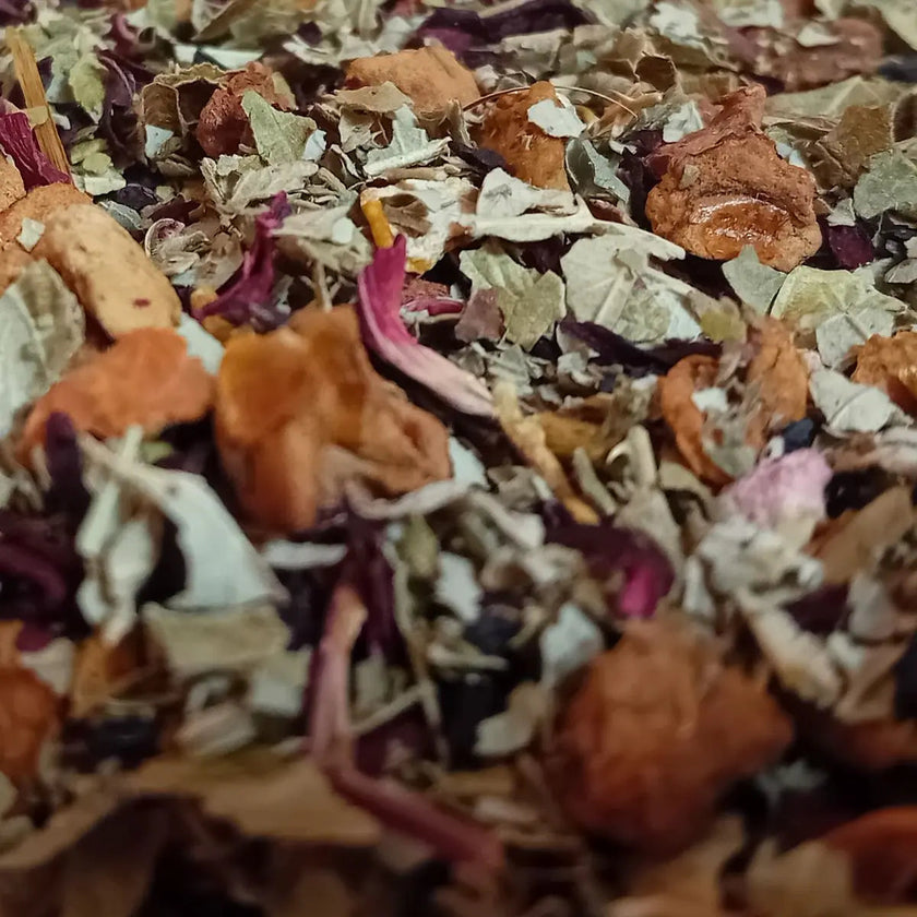 infusion fruits pomme feuilles de mûre hibiscus écorces d'orange fraise canneberge baies sureau vrac boite à thé théière bienfaits vertus propriété