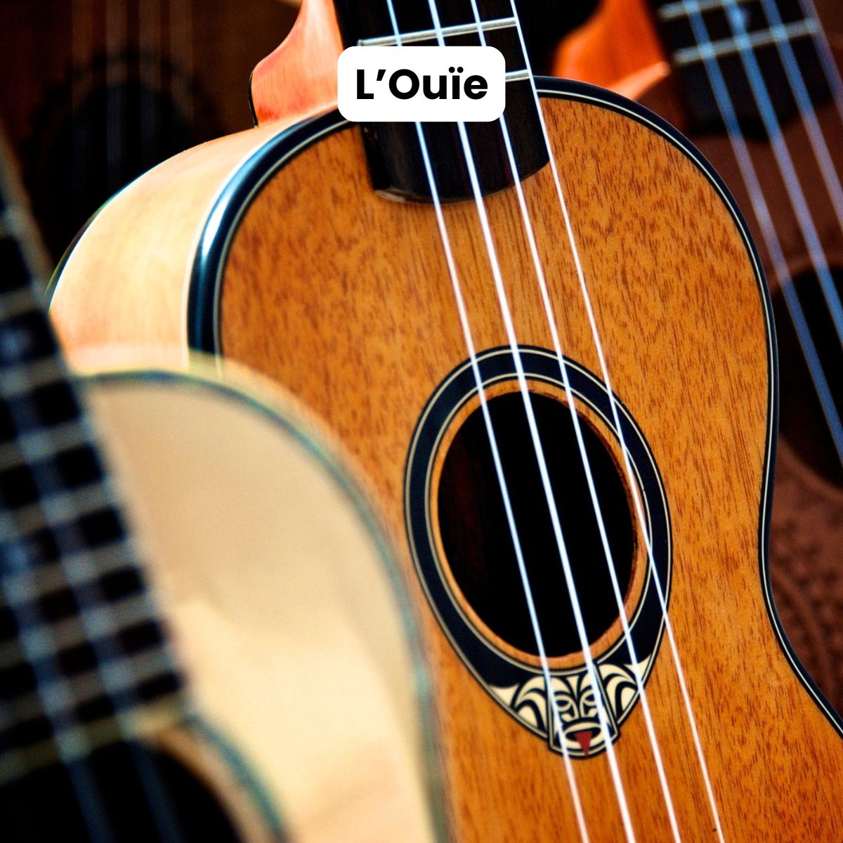 ebook pour apprendre à méditer pour les débutants les nuls méditation de pleine conscience gestion stress émotions burn out épuisement professionnel instant présent méditer au quotidien, zen mais pas trop quand même