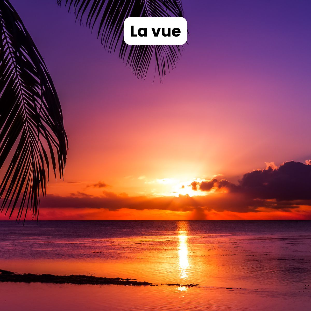 ebook pour apprendre à méditer pour les débutants les nuls méditation de pleine conscience gestion stress émotions burn out épuisement professionnel instant présent méditer au quotidien