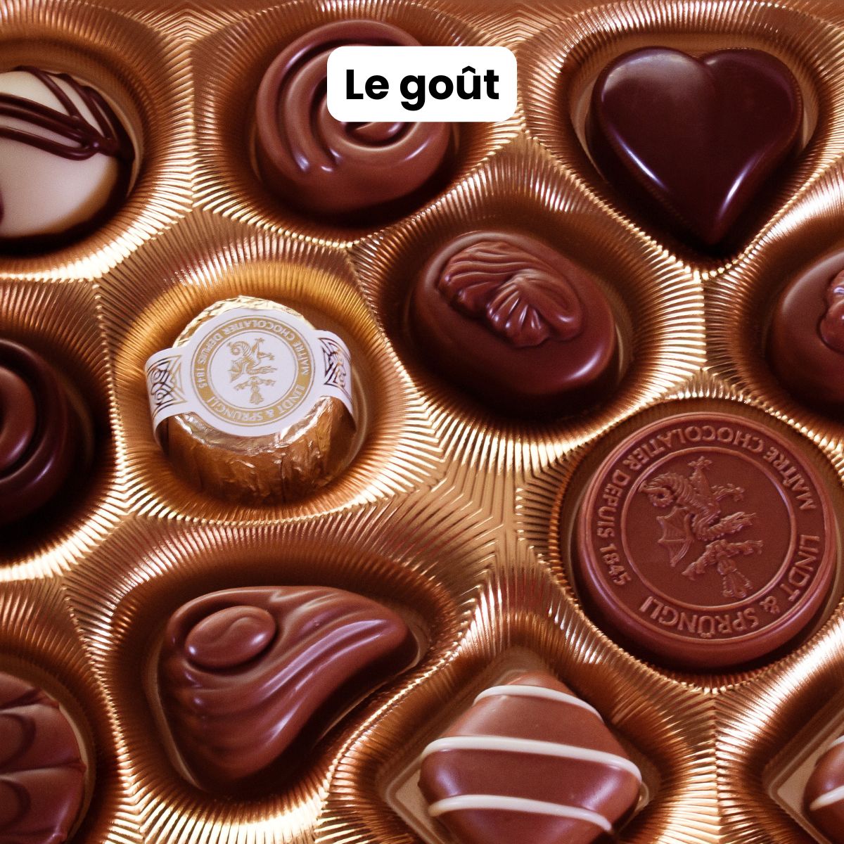 ebook pour apprendre à méditer pour les débutants les nuls méditation de pleine conscience gestion stress émotions burn out épuisement professionnel instant présent méditer au quotidien, zen mais pas trop quand même