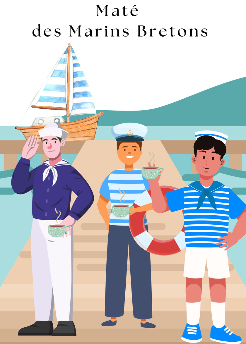 maté ananas mangue vrac boite à thé qualité premium théière bienfaits vertus propriété graphisme