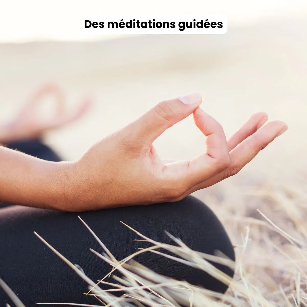 bilan ayurvédique, analyse des doshas, équilibre Vata Pitta Kapha, consultation ayurvéda en ligne, accompagnement bien-être holistique, médecine ayurvédique personnalisée, conseils en hygiène de vie ayurvédique
