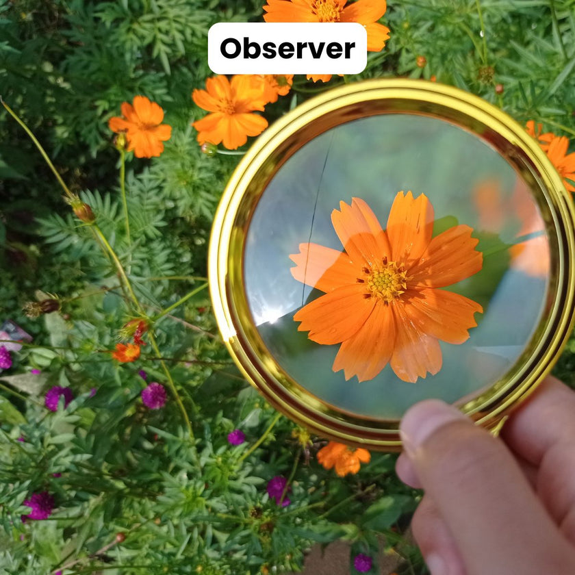 ebook pour apprendre à méditer pour les débutants les nuls méditation de pleine conscience gestion stress émotions burn out épuisement professionnel instant présent méditer au quotidien