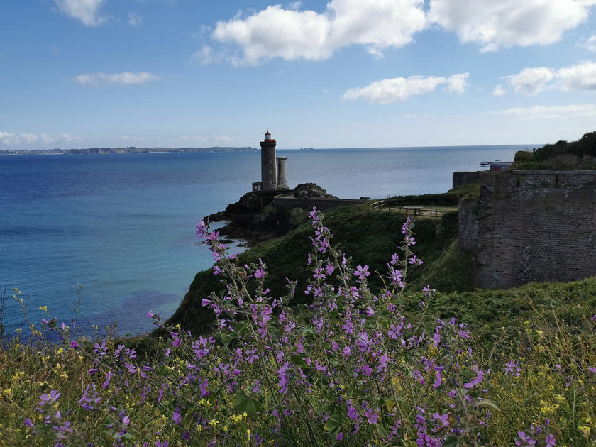 relaxation immersive avec des paysages de bretagne