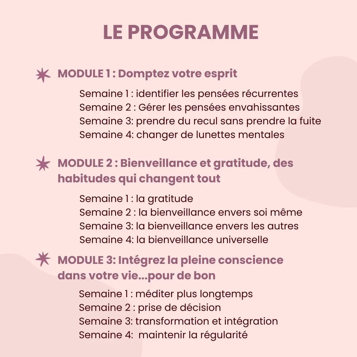Ebook et formation pour apprendre la méditation de pleine conscience méditer au quotidien pour débutants nuls anti stress burn out épuisement professionnel perte concentration gestion des émotions méditation facile MBSR TCC, prise de recul, savoir relativiser, thérapie comportementale et cognitive, psychologie positive