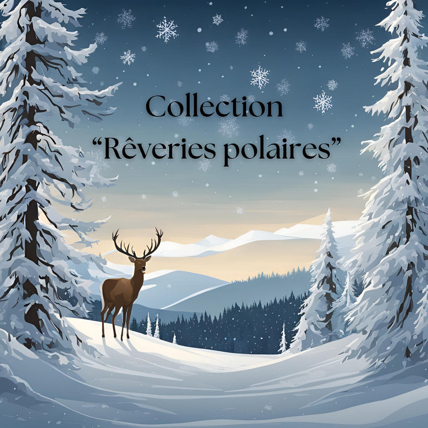 ❄️🌟 Collection