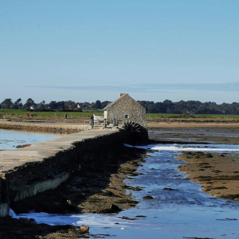 cure ayurvédique detox, cure ayurvédique Bretagne, retraite bien-être ayurvédique, cure ayurvédique détox métaux lourds, séjour ayurvédique France, cure ayurvédique femme 45+, cure shirodhara France, retraite yoga et ayurvéda, séjour détox mentale Bretagne, cure déconnexion numérique, séjour bien-être en Bretagne pour femmes stressées, retraite ayurvédique digestion, jeûne, retraite jeûne France, cure fatigue mentale et physique, séjour pour se reposer mentalement, cure bien-être