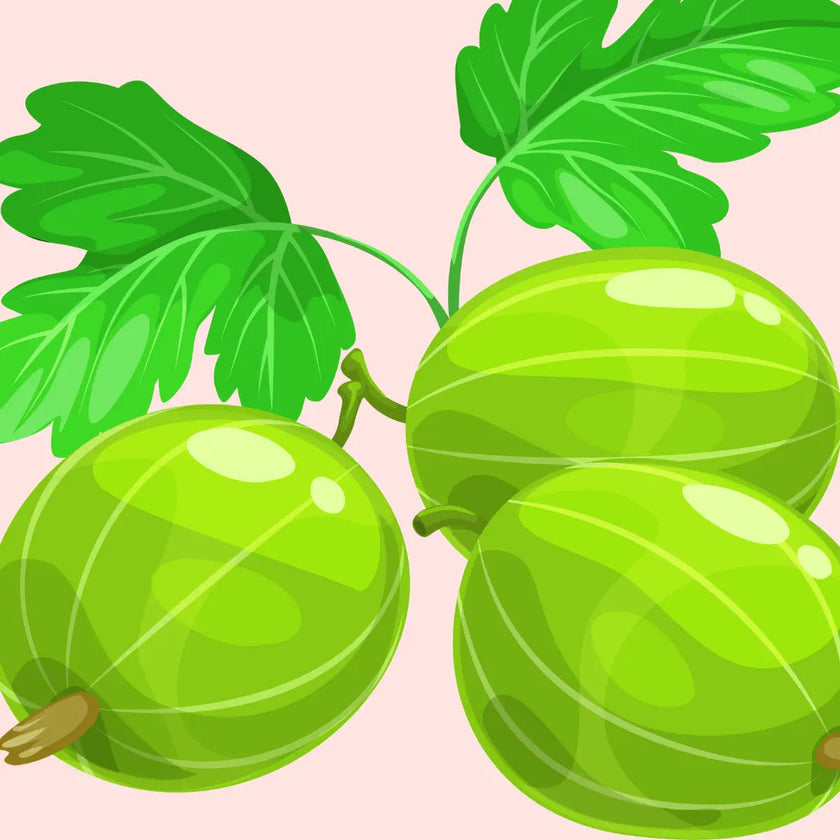 Complément alimentaire ayurvédique : Triphala, bien être du corps et de l'esprit, aide à soutenir le système digestif et le système immunitaire et aide à réduire le stress