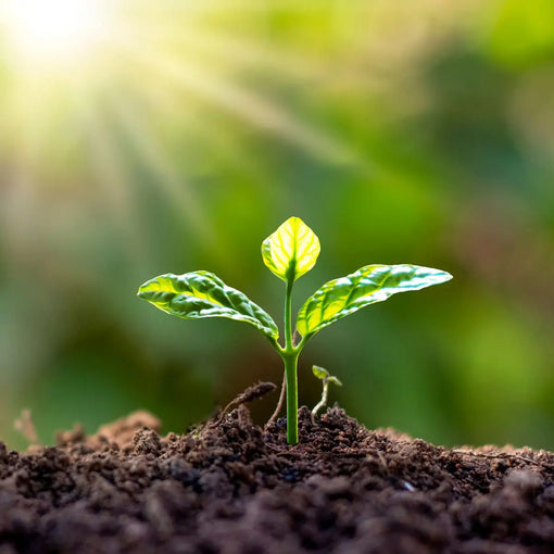 la france pays le plus touché par le cancer : remettre la prévention au coeur de nos vies