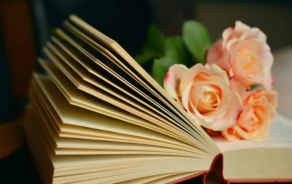 Ebook Cocooning&Zen