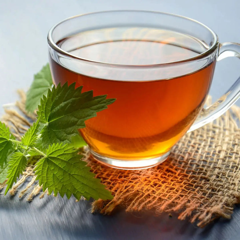 abonnement thé vert noir blanc tisane infusion rooibos maté 1 mois