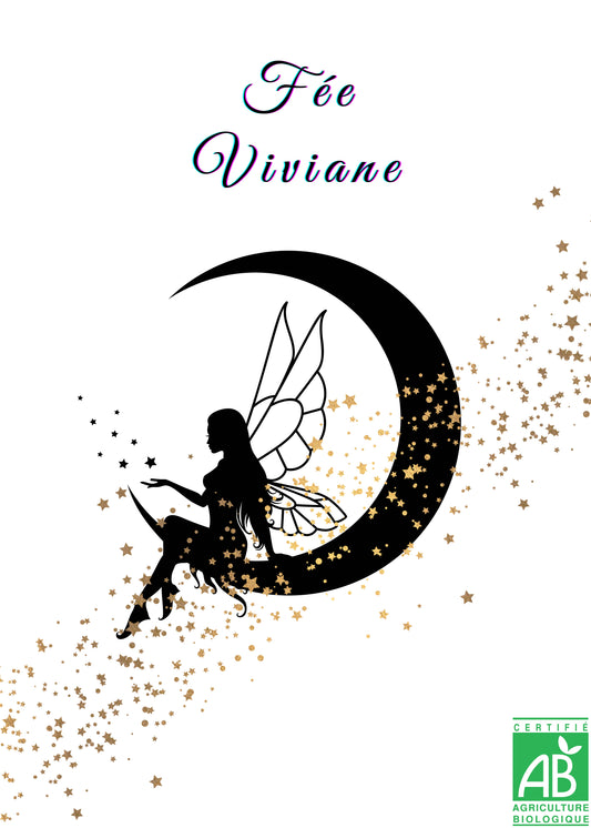 ✨ La fée Viviane 🌟