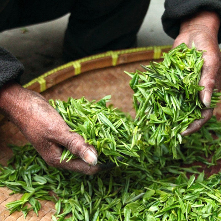 abonnment thé vert noir blanc tisane infusion roibos maté 12 mois