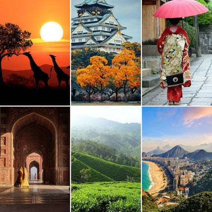 abonnement thé vert noir blanc 6 mois infusion tisane rooibos maté