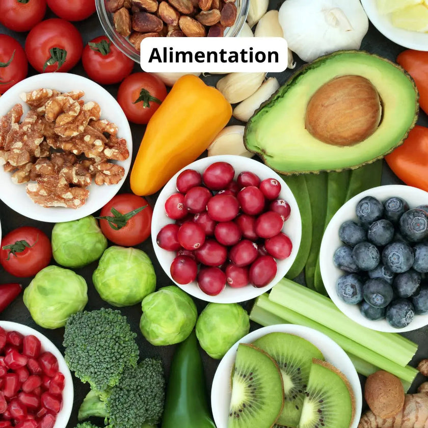 le Week‑end Décompression : anti surcharge mentale pour prévenir l'épuisement et le burn out en Bretagne sud