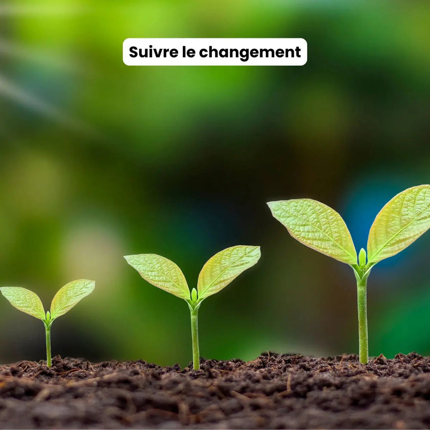 bilan ayurvédique personnalisé, routine bien-être, hygiène de vie naturelle, 
coaching digestion stress sommeil, 
rééquilibrage naturel, coaching hygiène de vie, ayurvéda