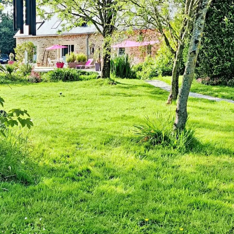 cure ayurvédique detox, cure ayurvédique Bretagne, retraite bien-être ayurvédique, cure ayurvédique détox métaux lourds, séjour ayurvédique France, cure ayurvédique femme 45+, cure shirodhara France, retraite yoga et ayurvéda, séjour détox mentale Bretagne, cure déconnexion numérique, séjour bien-être en Bretagne pour femmes stressées, retraite ayurvédique digestion, jeûne, retraite jeûne France, cure fatigue mentale et physique, séjour pour se reposer mentalement, cure bien-être anti stress, cure repos 