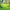 cure ayurvédique detox, cure ayurvédique Bretagne, retraite bien-être ayurvédique, cure ayurvédique détox métaux lourds, séjour ayurvédique France, cure ayurvédique femme 45+, cure shirodhara France, retraite yoga et ayurvéda, séjour détox mentale Bretagne, cure déconnexion numérique, séjour bien-être en Bretagne pour femmes stressées, retraite ayurvédique digestion, jeûne, retraite jeûne France, cure fatigue mentale et physique, séjour pour se reposer mentalement, cure bien-être