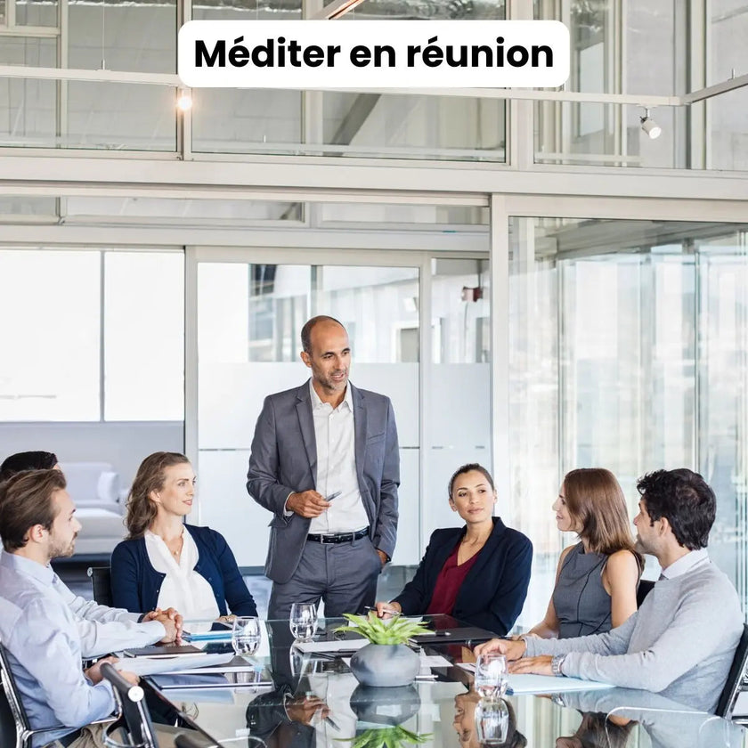 Ebook et formation pour apprendre la méditation de pleine conscience méditer au quotidien pour débutants nuls anti stress burn out épuisement professionnel perte concentration gestion des émotions méditation facile 