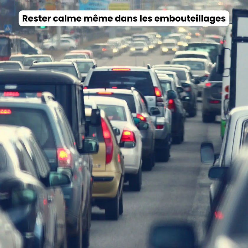 ebook calme même dans le rush apprendre à méditer débutants méditation de pleine conscience burn out stress épuisement mental professionnel slowlife 