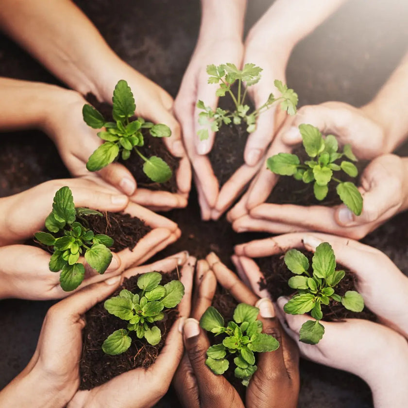 cure ayurvédique detox, cure ayurvédique Bretagne, retraite bien-être ayurvédique, cure ayurvédique détox métaux lourds, séjour ayurvédique France, cure ayurvédique femme 45+, cure shirodhara France, retraite yoga et ayurvéda, séjour détox mentale Bretagne, cure déconnexion numérique, séjour bien-être en Bretagne pour femmes stressées, retraite ayurvédique digestion, jeûne, retraite jeûne France, cure fatigue mentale et physique, séjour pour se reposer mentalement, cure bien-être anti stress, cure repos 