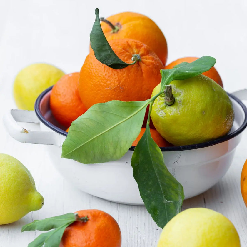 ingrédients Huile de massage citron, orange, bergamote vitalité relaxation ayurvéda produit ayurvédique vitalité énergie