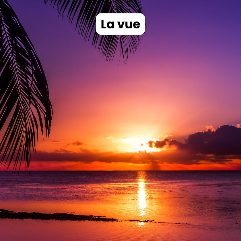 ebook pour apprendre à méditer pour les débutants les nuls méditation de pleine conscience gestion stress émotions burn out épuisement professionnel instant présent méditer au quotidien