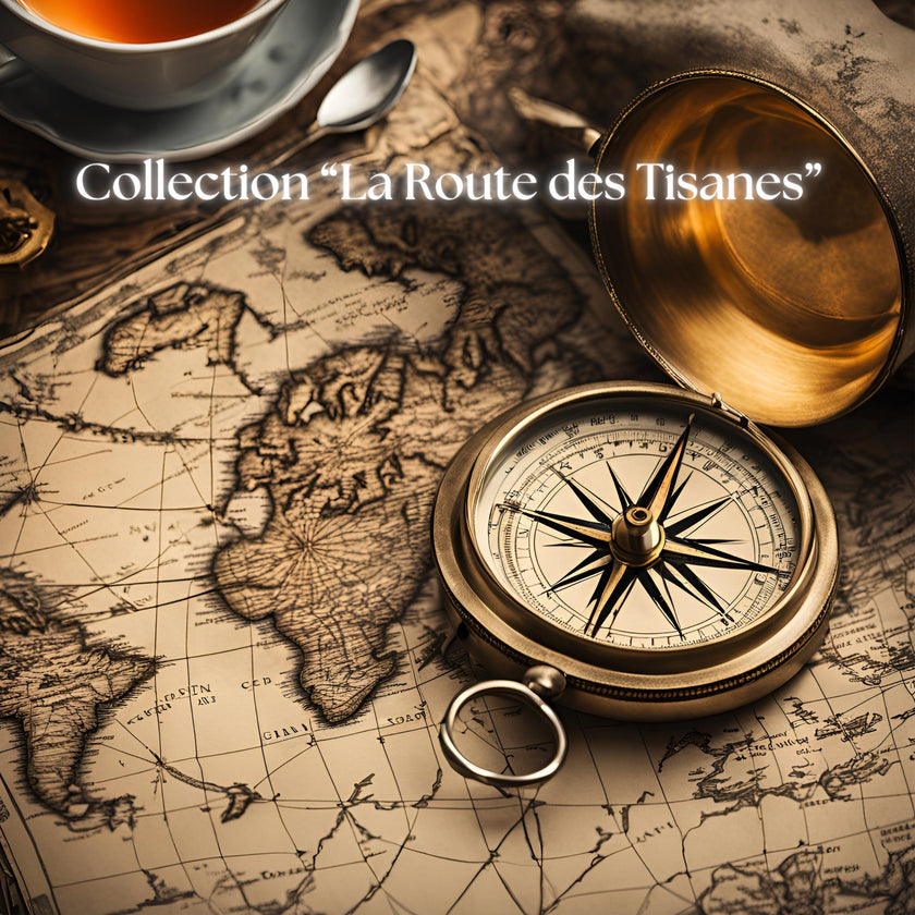 Collection découverte 