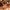 cure ayurvédique detox, cure ayurvédique Bretagne, retraite bien-être ayurvédique, cure ayurvédique détox métaux lourds, séjour ayurvédique France, cure ayurvédique femme 45+, cure shirodhara France, retraite yoga et ayurvéda, séjour détox mentale Bretagne, cure déconnexion numérique, séjour bien-être en Bretagne pour femmes stressées, retraite ayurvédique digestion, jeûne, retraite jeûne France, cure fatigue mentale et physique, séjour pour se reposer mentalement, cure bien-être