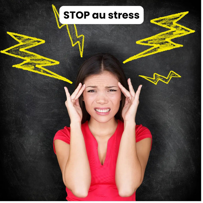 Ebook et formation pour apprendre la méditation de pleine conscience méditer au quotidien pour débutants nuls anti stress burn out épuisement professionnel perte concentration gestion des émotions méditation facile