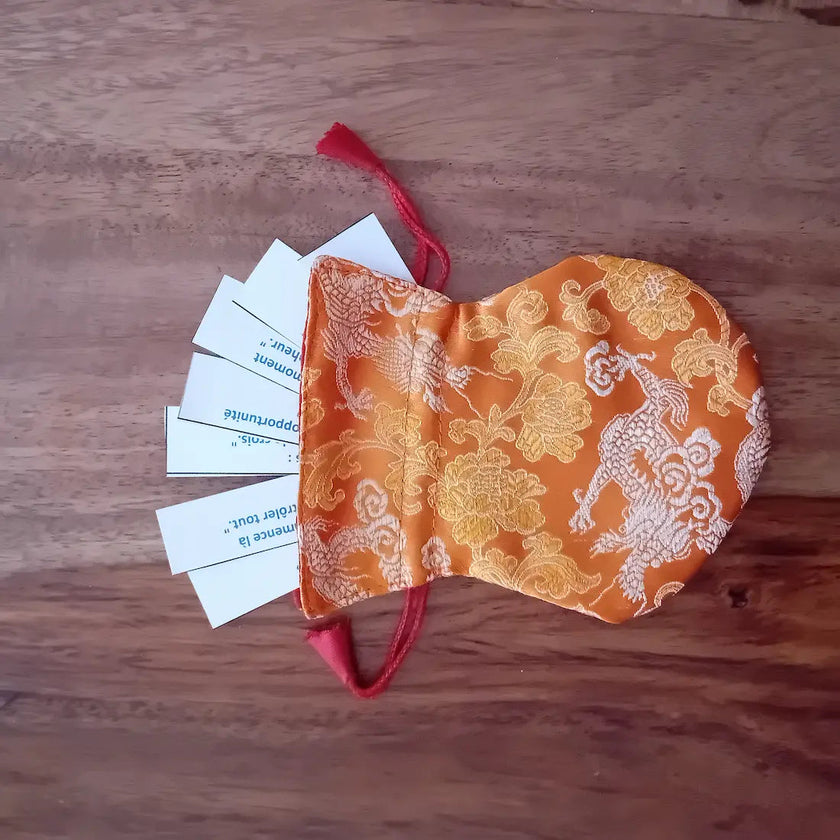 coffret rituels bien être box méditation pleine conscience apprendre à méditer pour les nuls au quotidien gestion stress émotions concentration burn out surmenage pochette moments sagesse