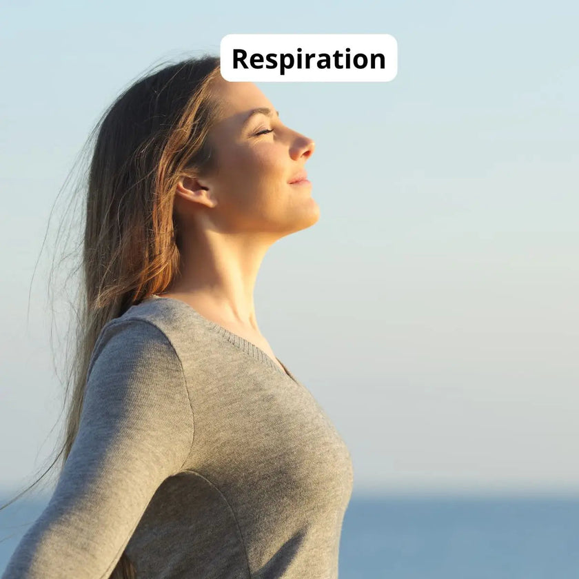 le Week‑end Décompression : anti surcharge mentale pour prévenir l'épuisement et le burn out 