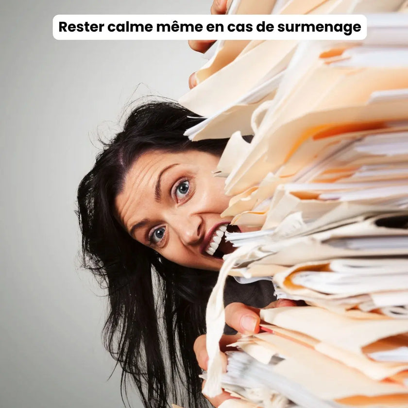 ebook calme même dans le rush apprendre à méditer débutants méditation de pleine conscience burn out stress épuisement mental professionnel slowlife 