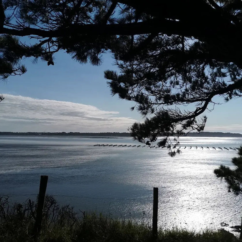 cure ayurvédique detox, cure ayurvédique Bretagne, retraite bien-être ayurvédique, cure ayurvédique détox métaux lourds, séjour ayurvédique France, cure ayurvédique femme 45+, cure shirodhara France, retraite yoga et ayurvéda, séjour détox mentale Bretagne, cure déconnexion numérique, séjour bien-être en Bretagne pour femmes stressées, retraite ayurvédique digestion, jeûne, retraite jeûne France, cure fatigue mentale et physique, séjour pour se reposer mentalement, cure bien-être