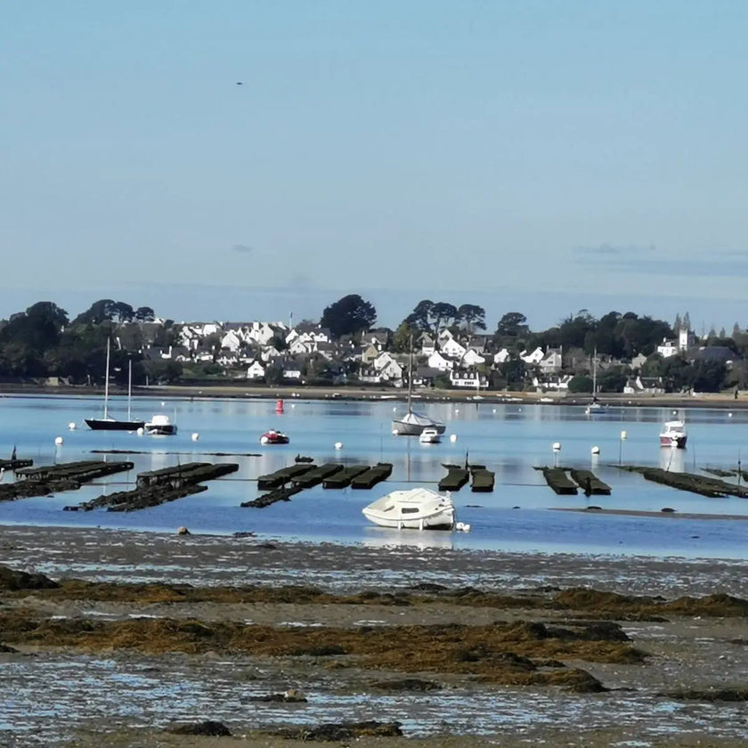 cure ayurvédique detox, cure ayurvédique Bretagne, retraite bien-être ayurvédique, cure ayurvédique détox métaux lourds, séjour ayurvédique France, cure ayurvédique femme 45+, cure shirodhara France, retraite yoga et ayurvéda, séjour détox mentale Bretagne, cure déconnexion numérique, séjour bien-être en Bretagne pour femmes stressées, retraite ayurvédique digestion, jeûne, retraite jeûne France, cure fatigue mentale et physique, séjour pour se reposer mentalement, cure bien-être