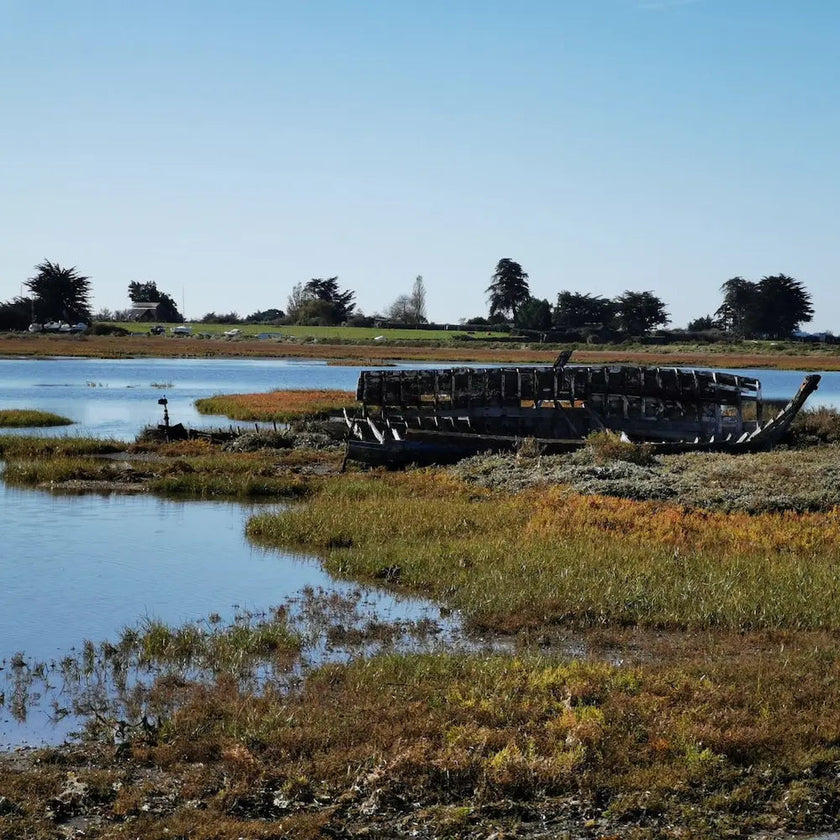 cure ayurvédique detox, cure ayurvédique Bretagne, retraite bien-être ayurvédique, cure ayurvédique détox métaux lourds, séjour ayurvédique France, cure ayurvédique femme 45+, cure shirodhara France, retraite yoga et ayurvéda, séjour détox mentale Bretagne, cure déconnexion numérique, séjour bien-être en Bretagne pour femmes stressées, retraite ayurvédique digestion, jeûne, retraite jeûne France, cure fatigue mentale et physique, séjour pour se reposer mentalement, cure bien-être