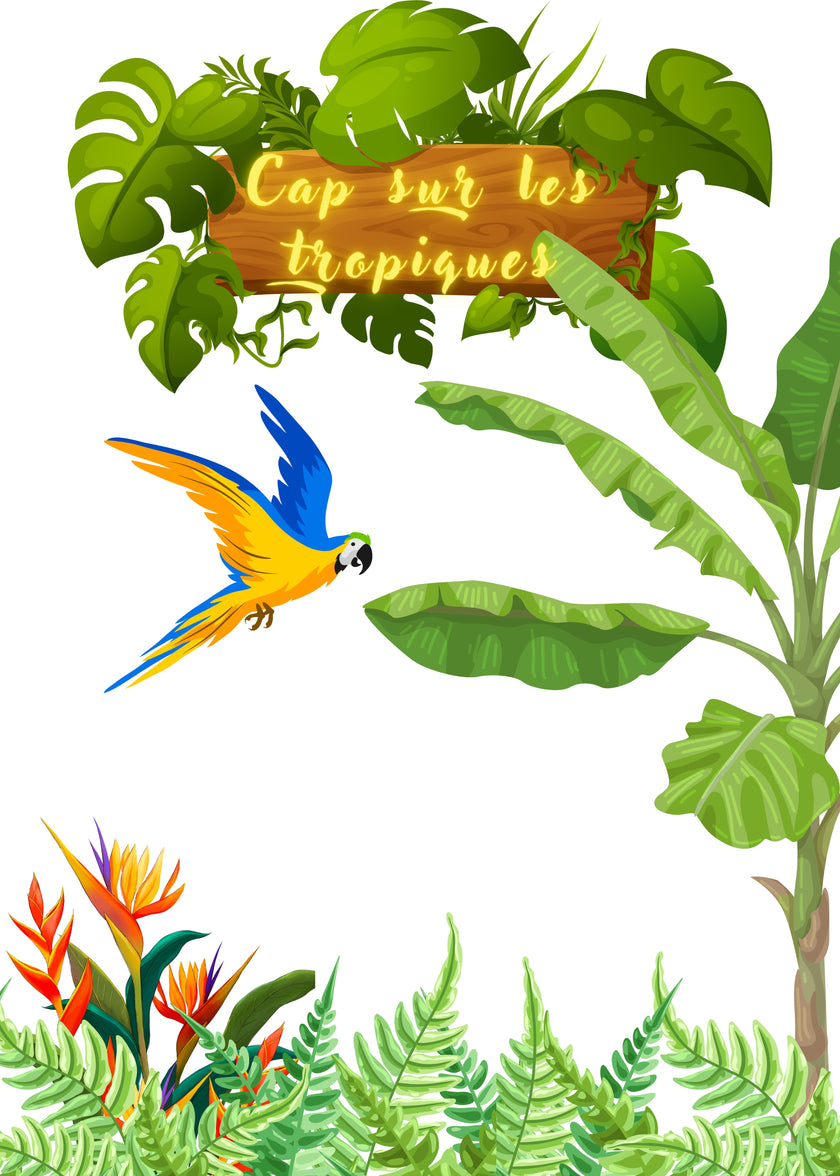 thé noir ceylan vert rooibos maté fruits exotiques qualité premium théière vrac bienfaits vertus propriété