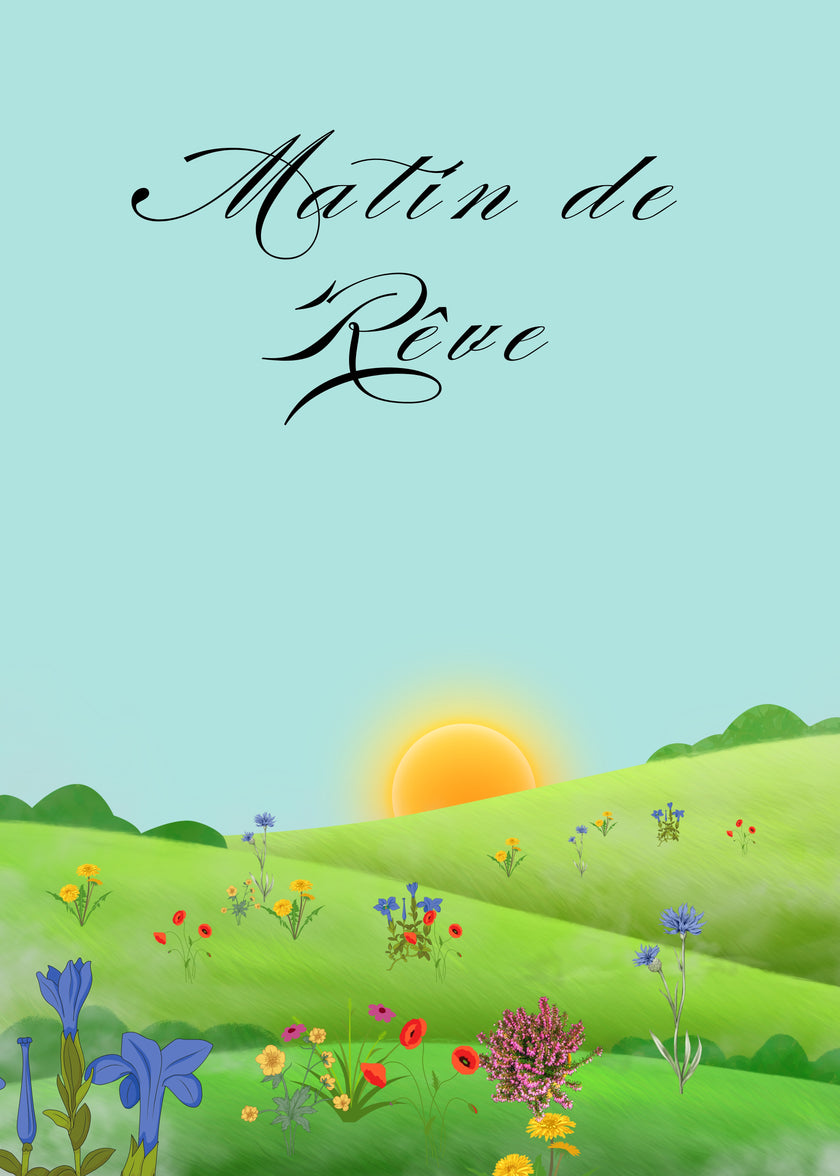 Thé blanc Pai Mu Tan  China Sencha vrac boite à thé doypack vertus bienfaits propriété théière