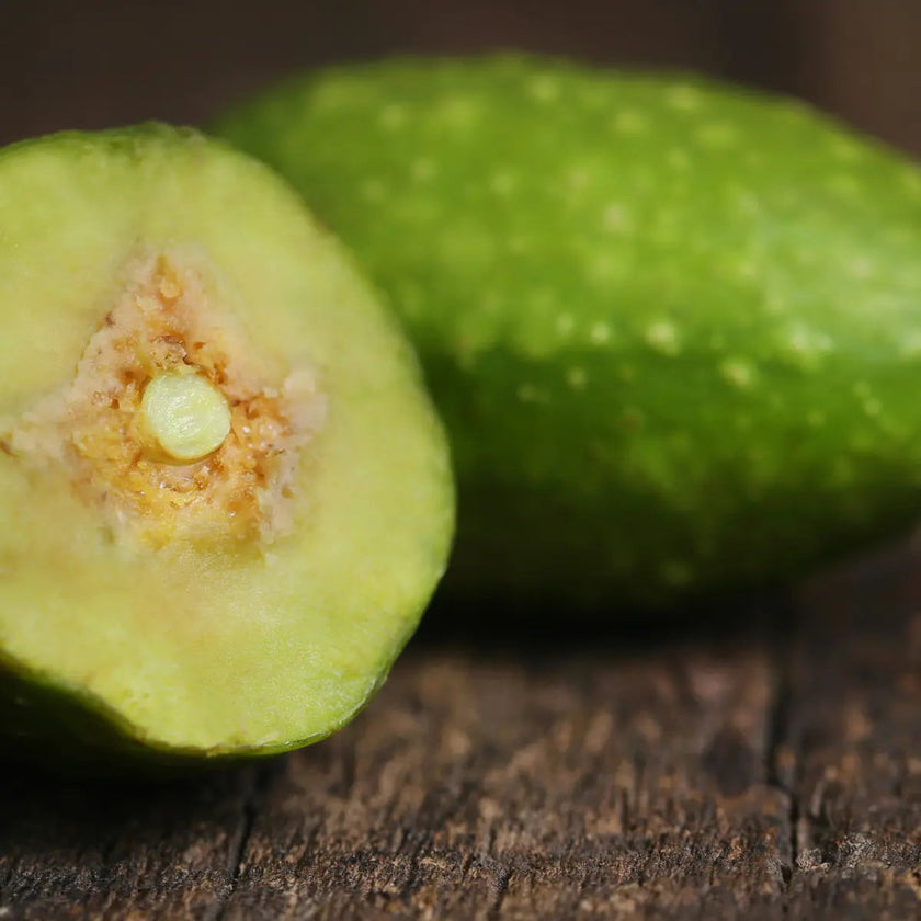 Complément alimentaire ayurvédique : Triphala, bien être du corps et de l'esprit, aide à soutenir le système digestif et le système immunitaire et aide à réduire le stress 